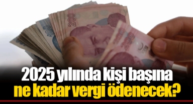 2025 yılında kişi başına ne kadar vergi ödenecek?