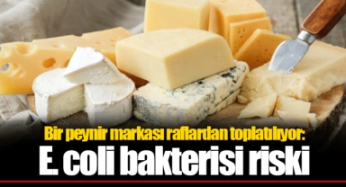 Bir peynir markası raflardan toplatılıyor: E. coli bakterisi riski