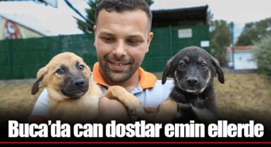 Buca’da can dostlar emin ellerde