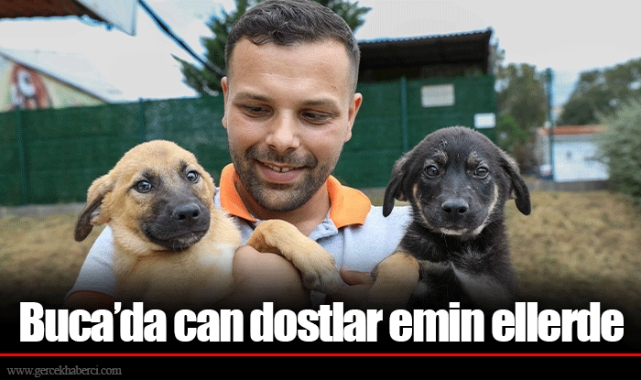 Buca’da can dostlar emin ellerde
