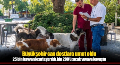 Büyükşehir can dostlara umut oldu