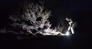 Çorum'da ormanlık alanda kimliği belirsiz erkek cesedi bulundu