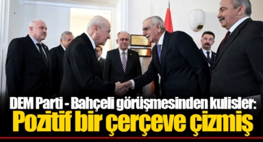 DEM Parti - Bahçeli görüşmesinden kulisler: Pozitif bir çerçeve çizmiş