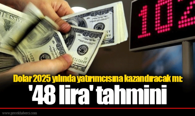 Dolar 2025 yılında yatırımcısına kazandıracak mı: '48 lira' tahmini