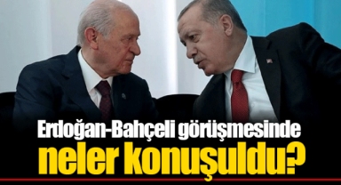 Erdoğan-Bahçeli görüşmesinde neler konuşuldu?