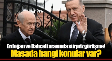 Erdoğan ve Bahçeli arasında sürpriz görüşme! Masada hangi konular var?