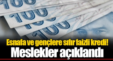 Esnafa ve gençlere sıfır faizli kredi! Meslekler açıklandı