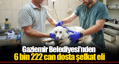 Gaziemir Belediyesi’nden 6 bin 222 can dosta şefkat eli
