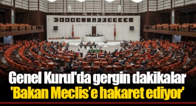 Genel Kurul'da gergin dakikalar: 'Bakan Meclis’e hakaret ediyor'