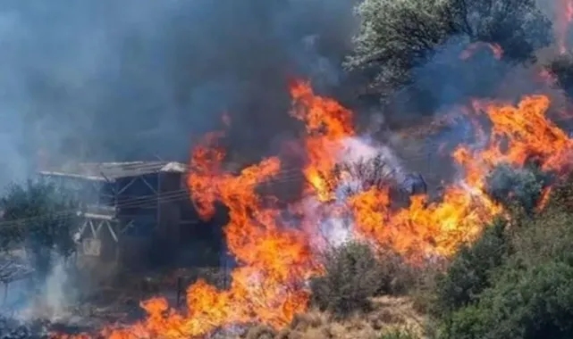İzmir'de kaçak kazı yaparken orman yangını çıkaran sanıklar hakkında 18 yıla kadar hapis istemi