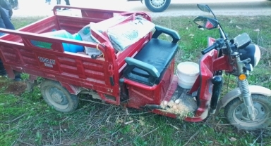 İzmir'de zeytin ağacına çarpan elektrikli motosikletteki 2 kız kardeş öldü
