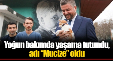 Yoğun bakımda yaşama tutundu, adı “Mucize” oldu