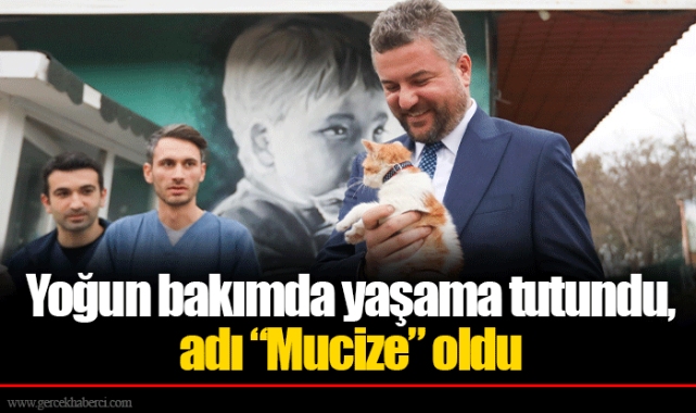 Yoğun bakımda yaşama tutundu, adı “Mucize” oldu