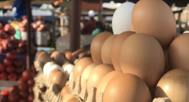 Yumurta Fiyatları Uçtu, Tane ile Satın Alma Dönemi Başladı!