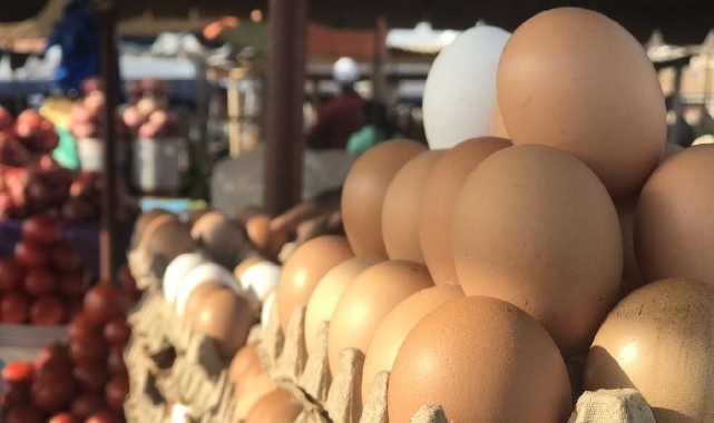 Yumurta Fiyatları Uçtu, Tane ile Satın Alma Dönemi Başladı!