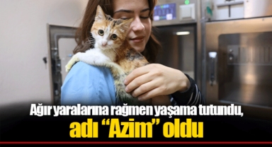 Ağır yaralarına rağmen yaşama tutundu, adı “Azim” oldu