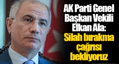 AK Parti Genel Başkan Vekili Efkan Ala: Silah bırakma çağrısı bekliyoruz