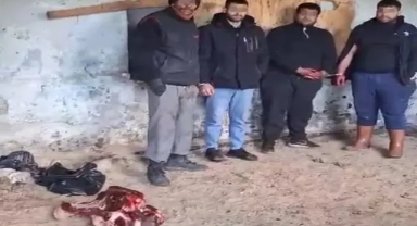 At eti keserken suçüstü yakalandılar