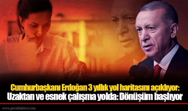 Cumhurbaşkanı Erdoğan 3 yıllık yol haritasını açıklıyor: Uzaktan ve esnek çalışma yolda: Dönüşüm başlıyor