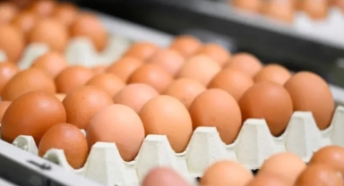Kahverengi yumurtalar 2030'a kadar süpermarketlerden çekilecek