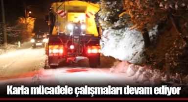 Karla mücadele çalışmaları devam ediyor