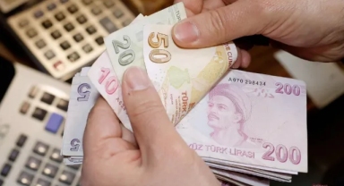Tamamlayıcı Emeklilik Sistemi'ne ilişkin detaylar belli oldu