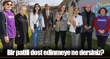 Bir patili dost edinmeye ne dersiniz?