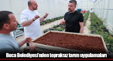 Buca Belediyesi’nden topraksız tarım uygulamaları