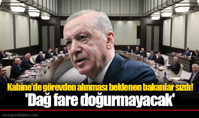Kabine&#039;de görevden alınması beklenen bakanlar sızdı! &#039;Dağ fare doğurmayacak&#039;