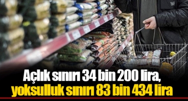 Açlık sınırı 34 bin 200 lira, yoksulluk sınırı 83 bin 434 lira