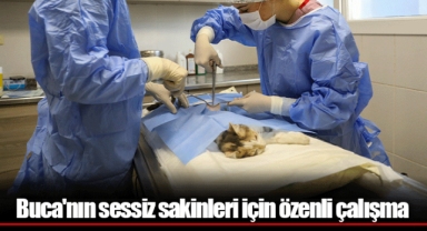 Buca'nın sessiz sakinleri için özenli çalışma