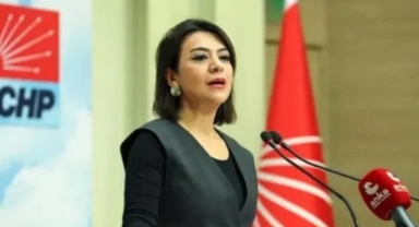 CHP’li Taşcıer'den 'normal doğum pankartı'na tepki