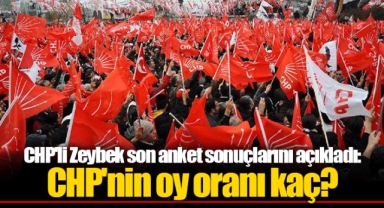 CHP'li Zeybek son anket sonuçlarını açıkladı: CHP'nin oy oranı kaç?