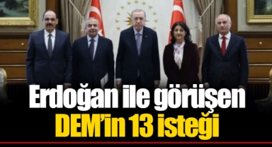 Erdoğan ile görüşen DEM’in 13 isteği