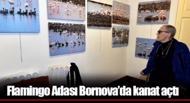 Flamingo Adası Bornova’da kanat açtı