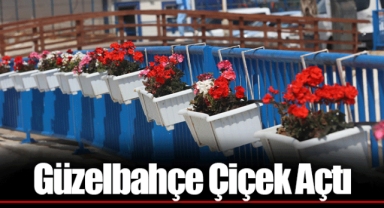 Güzelbahçe Çiçek Açtı