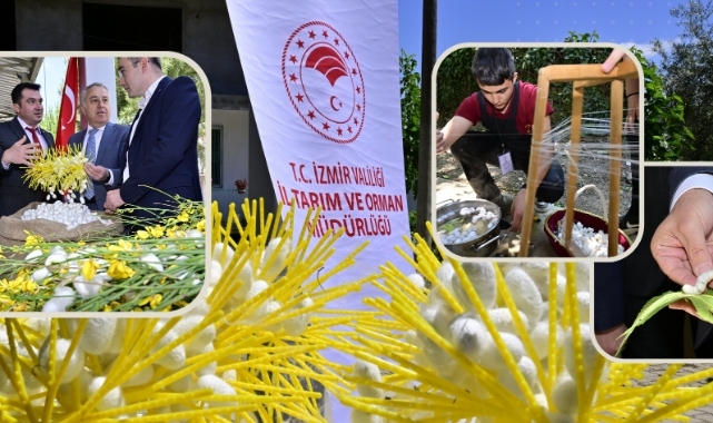 Beydağ'da kozalar ipek açtı