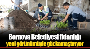 Bornova Belediyesi fidanlığı yeni görünümüyle göz kamaştırıyor