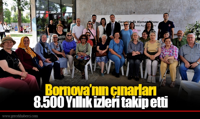 Bornova’nın çınarları 8.500 Yıllık izleri takip etti