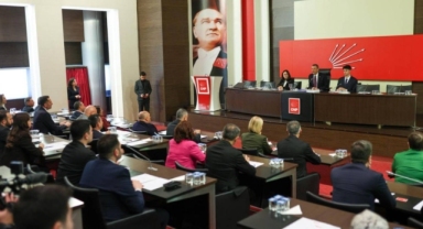 CHP'den sokak hayvanları için yeni adım; 'Bakımevleri İzleme Komisyonu' kuruldu