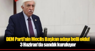 DEM Parti'nin Meclis Başkan adayı belli oldu! 3 Haziran'da sandık kuruluyor
