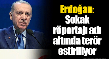 Erdoğan: Sokak röportajı adı altında terör estiriliyor