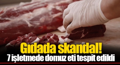 Gıdada skandal! 7 işletmede domuz eti tespit edildi