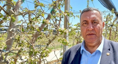 Gürer: “Zirai don vurup geçmedi. Etkisi ağır olacağı görülmelidir.”