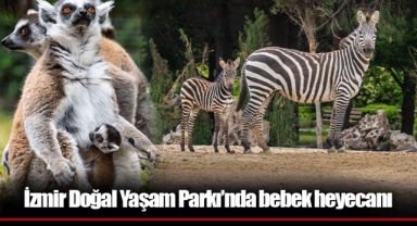 İzmir Doğal Yaşam Parkı’nda bebek heyecanı