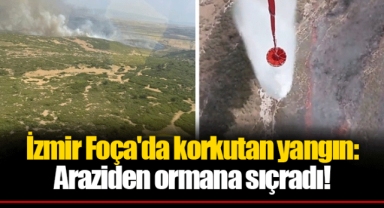 İzmir Foça'da korkutan yangın: Araziden ormana sıçradı!