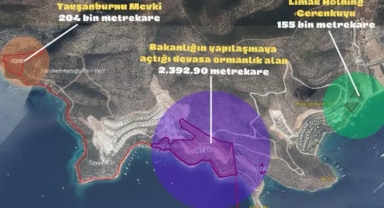 Kalyon ve Limak, Bodrum'daki ormanlık alanı betona gömecekler: Bakanlık yapılaşmaya açtı