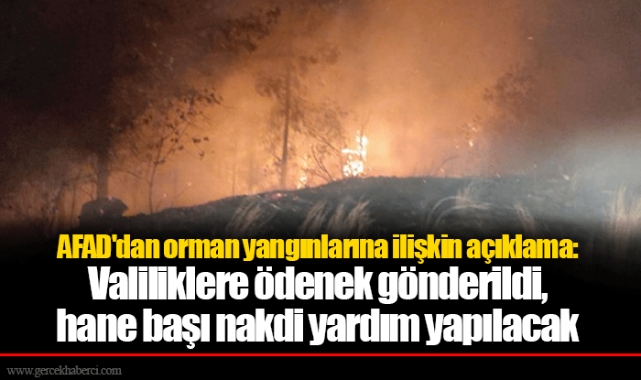 AFAD'dan orman yangınlarına ilişkin açıklama: Valiliklere ödenek gönderildi, hane başı nakdi yardım yapılacak