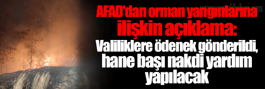 AFAD'dan orman yangınlarına ilişkin açıklama: Valiliklere ödenek gönderildi, hane başı nakdi yardım yapılacak