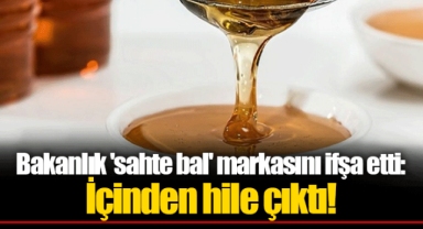 Bakanlık 'sahte bal' markasını ifşa etti: İçinden hile çıktı!